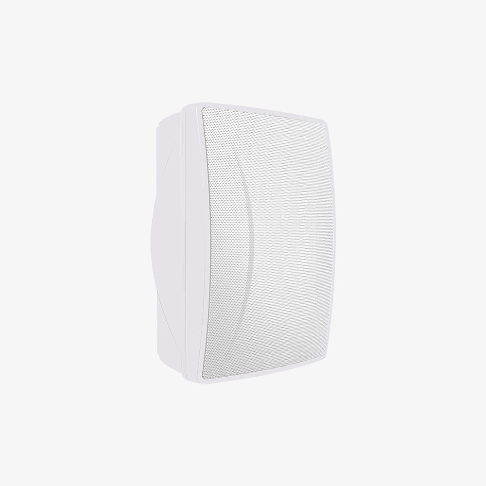NPA8520W 网络壁挂音箱(2×20W)