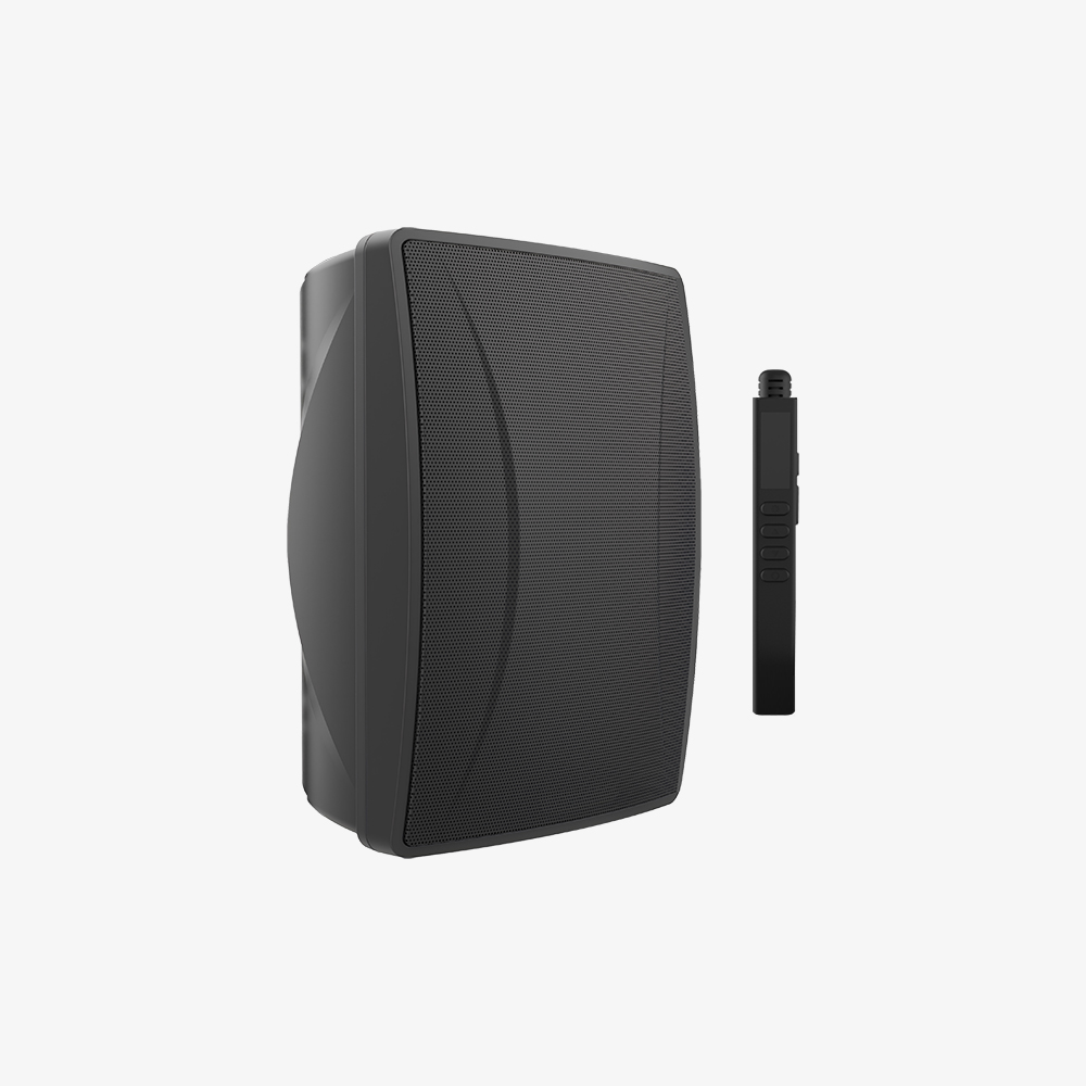 NPA8533B 网络壁挂音箱(2×30W)带话筒/带备份
