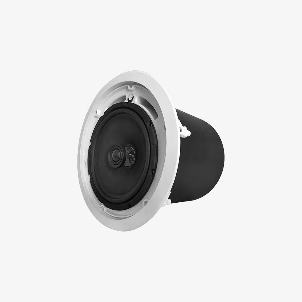 SP110 吸顶音箱(10寸)
