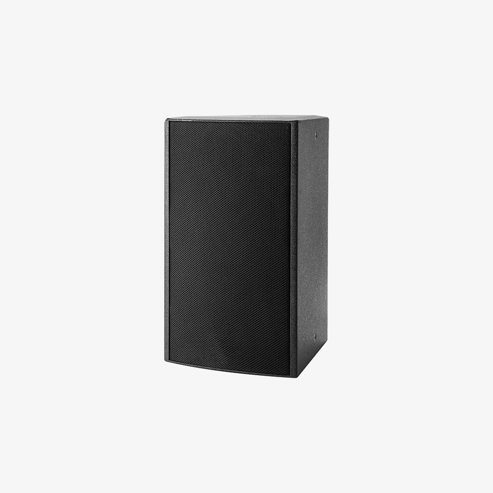 SP210 壁挂会议音箱(10寸)