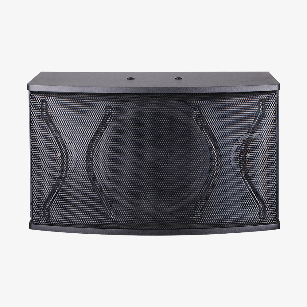 SP7150 10寸卡包音箱