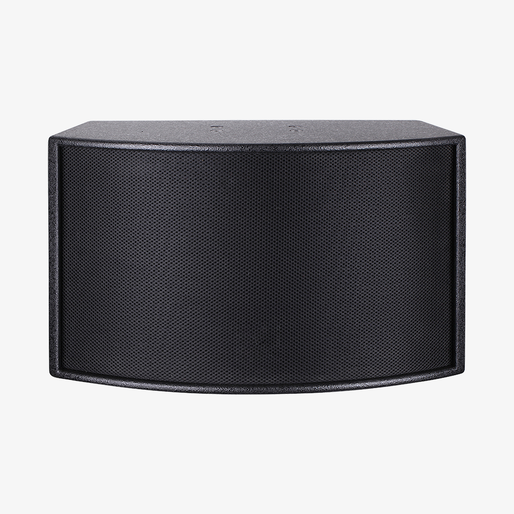 SP7180 10寸卡包音箱